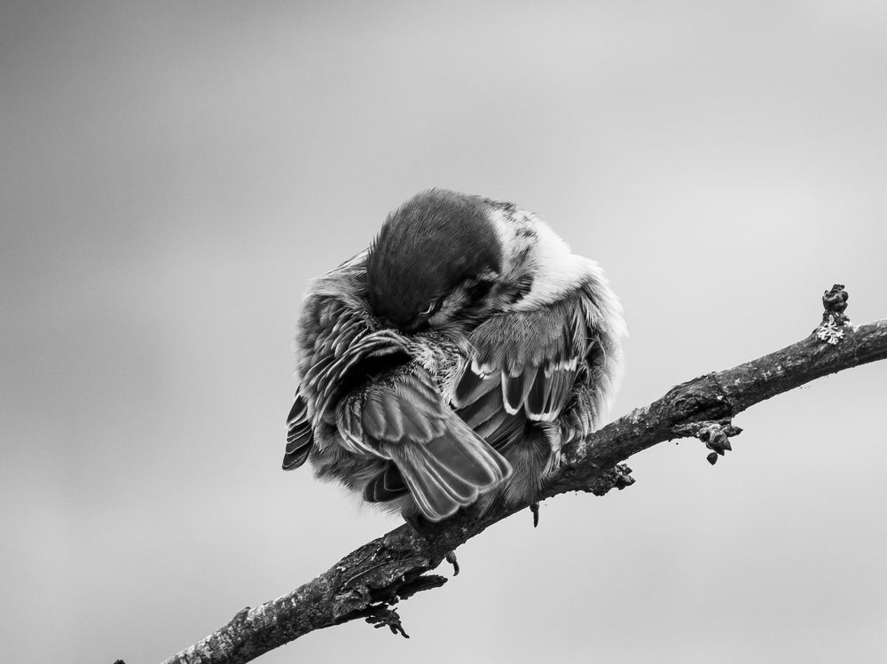 Photograph by Сергей Хабаров