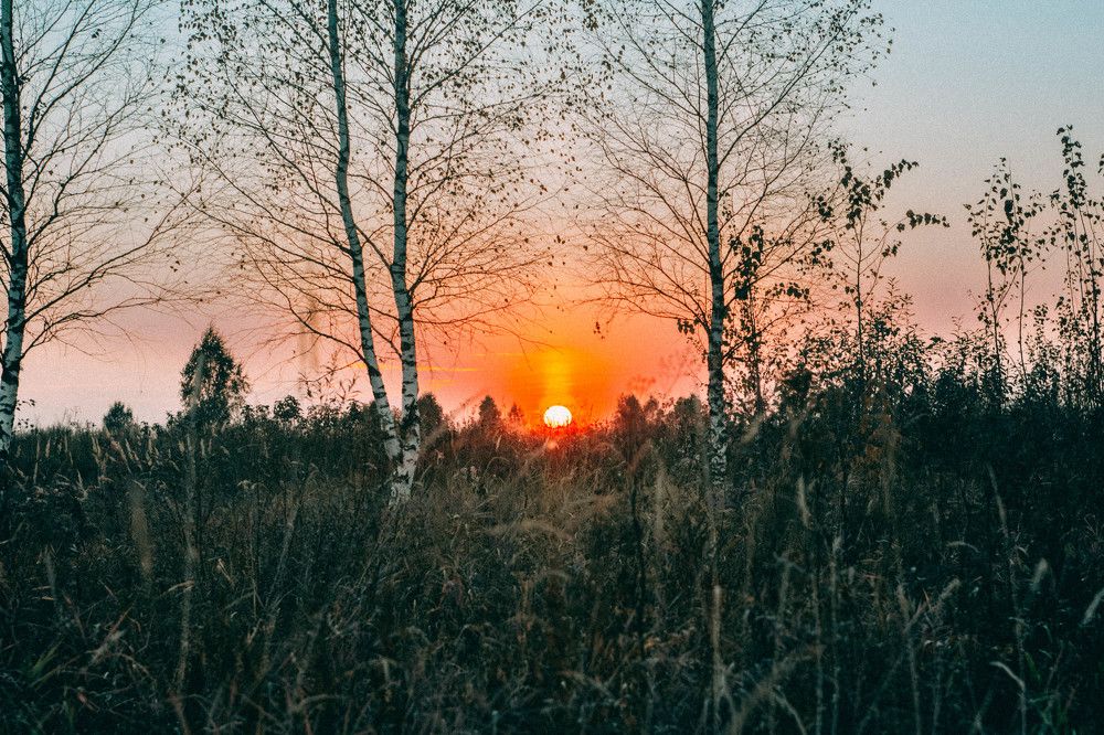 Фотография автора Алина Руденко