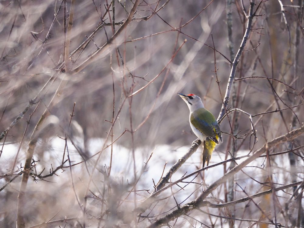 Photograph by Светлана Шибаршина