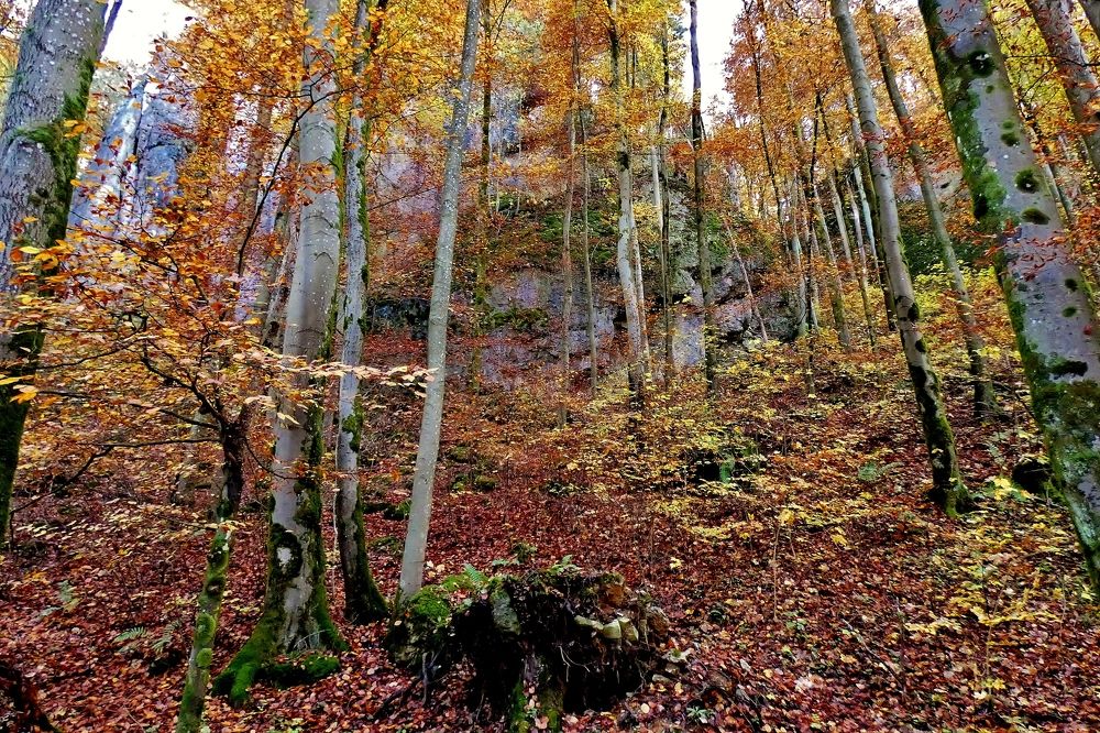 Photograph by backareva irina