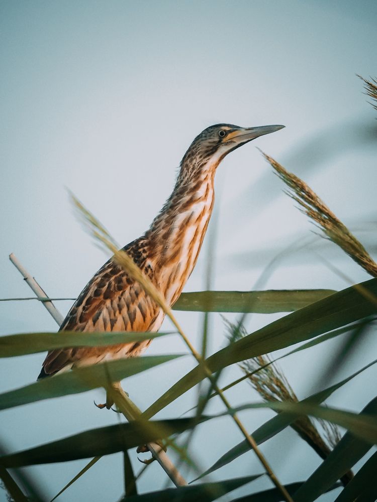 Photograph by Светлана Шибаршина