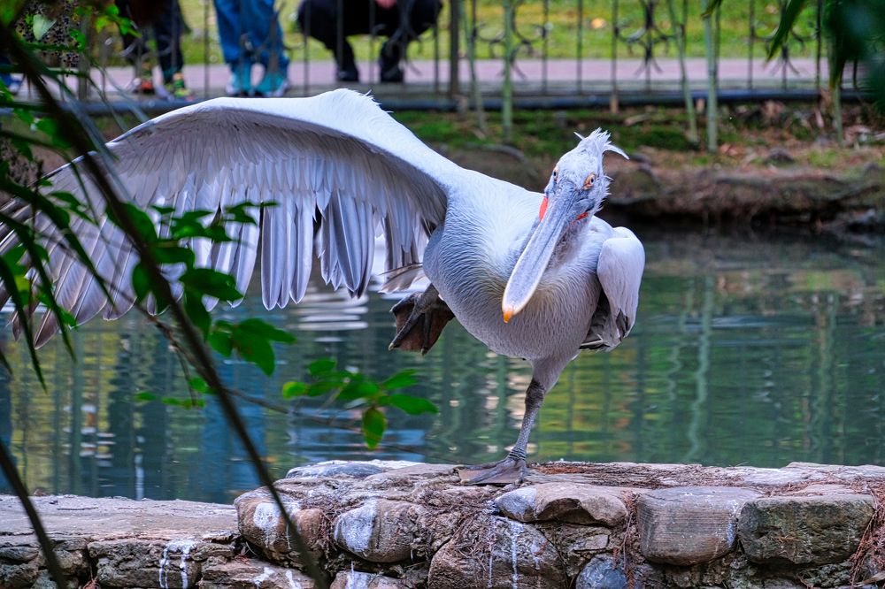 Photograph by Ильдар Балеев