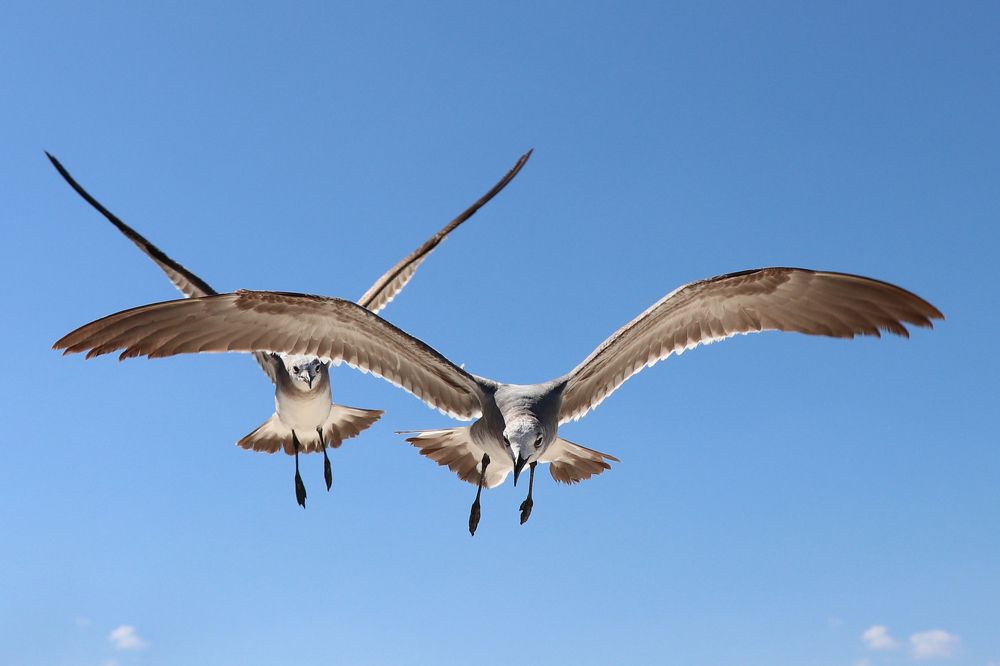 Photograph by Dagmar Vopolková