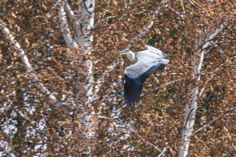 Фотография автора Каргин Валерий