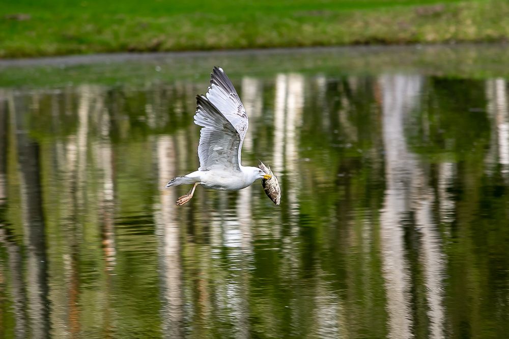 Photograph by Наталья Катюжанская