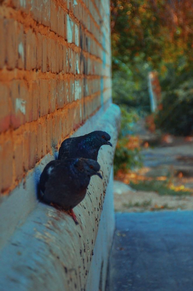 Photograph by Александр Ласкин