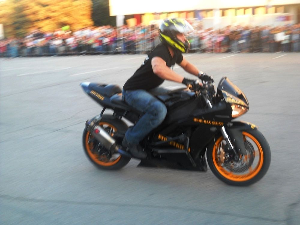 Photo #11081153