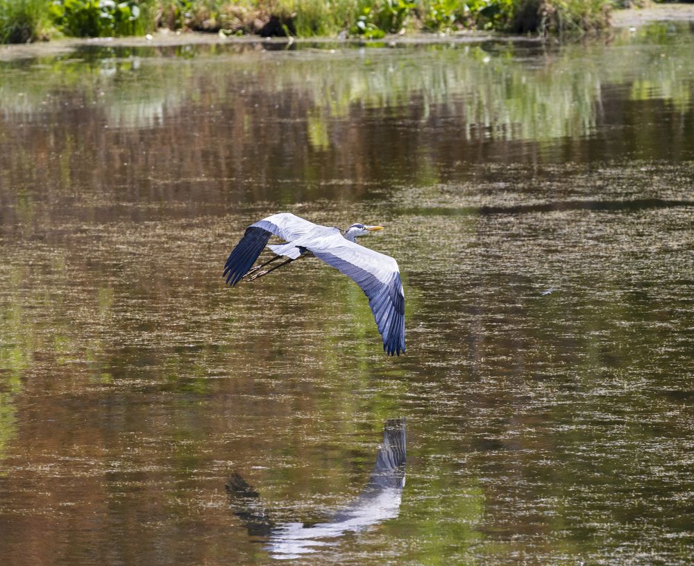 Фотография автора Каргин Валерий