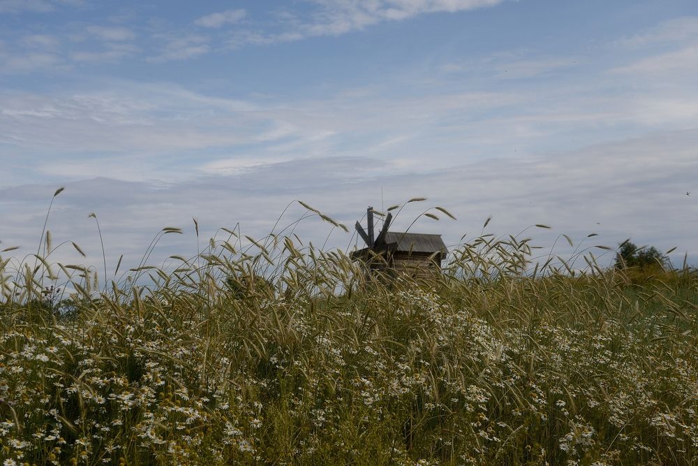 Photograph by Наталия К