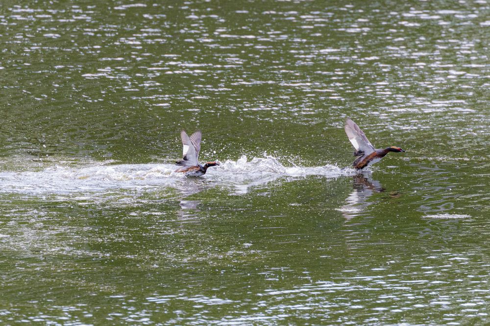 Фотография автора Каргин Валерий