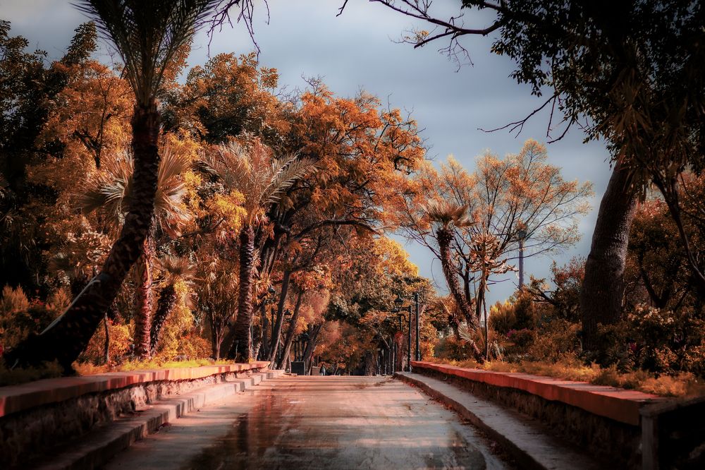 Photograph by Ayman Fawzy