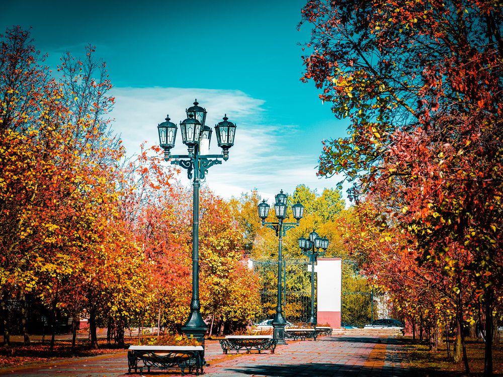 Photograph by Карина Дудатьева