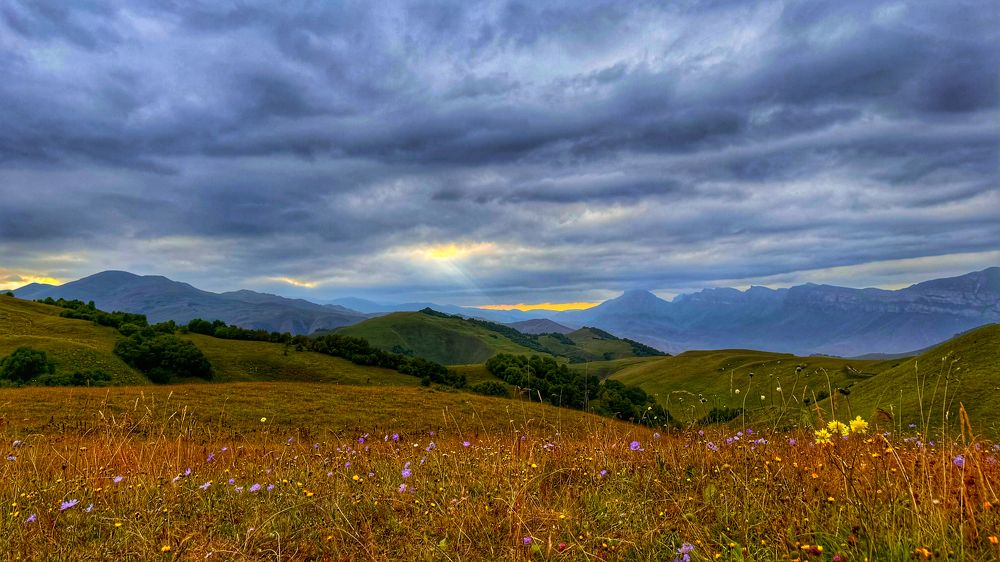 Photograph by Oksana Shchegolkova