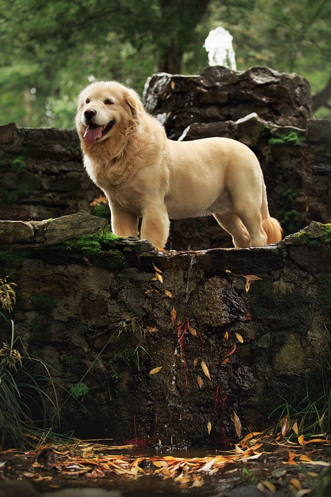 Photograph by Дарья Ералева