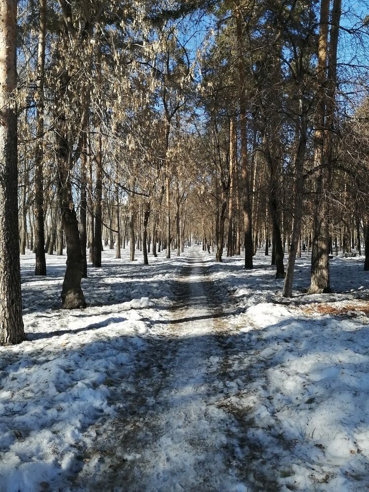 Photograph by Наталия