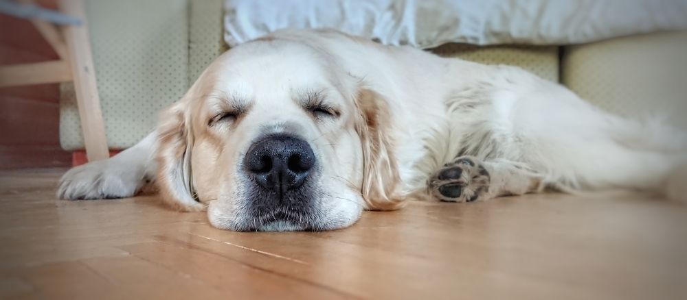 Photograph by Кирилл Васильев