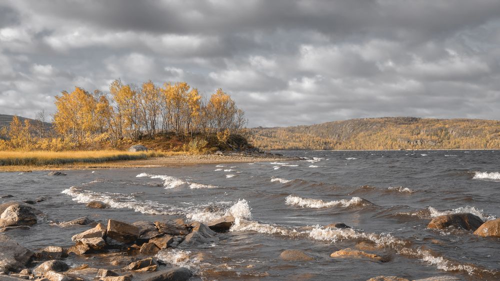 Ветреный день