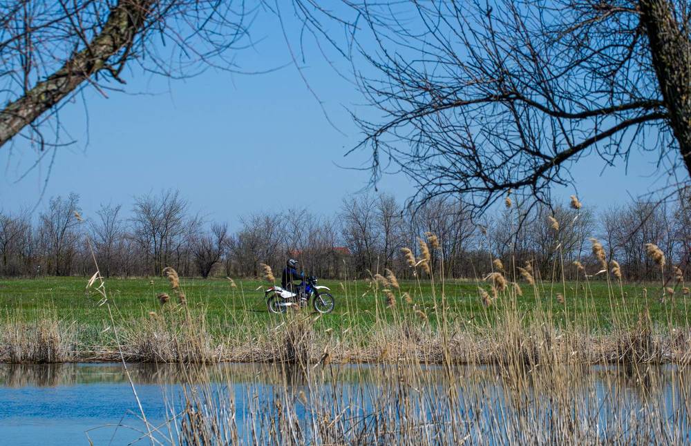 Photograph by Олег Алексеев