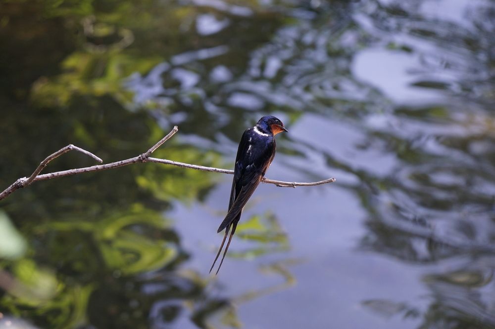 Photograph by Игорь Семеновский