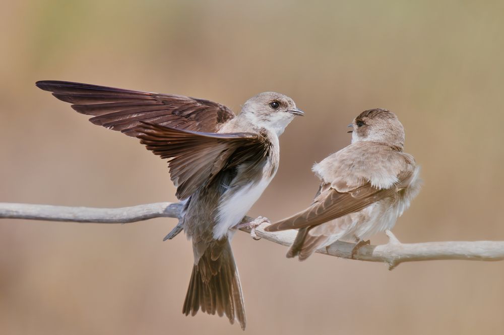 Photograph by Дарья Басова