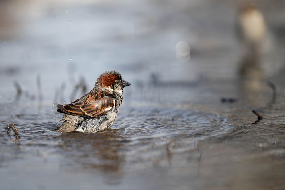 Photograph by Анастасия Жучкова