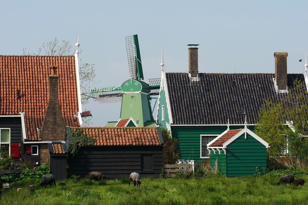 Photograph by Наталья Лобанова