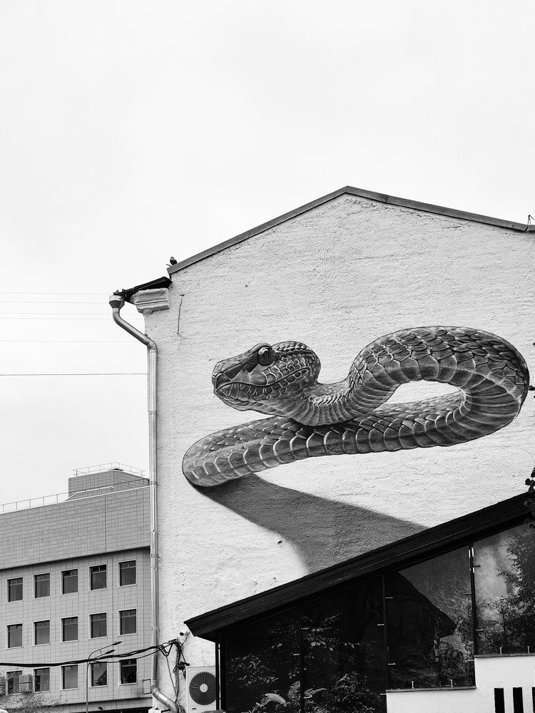 Photograph by Ольга Воронцова