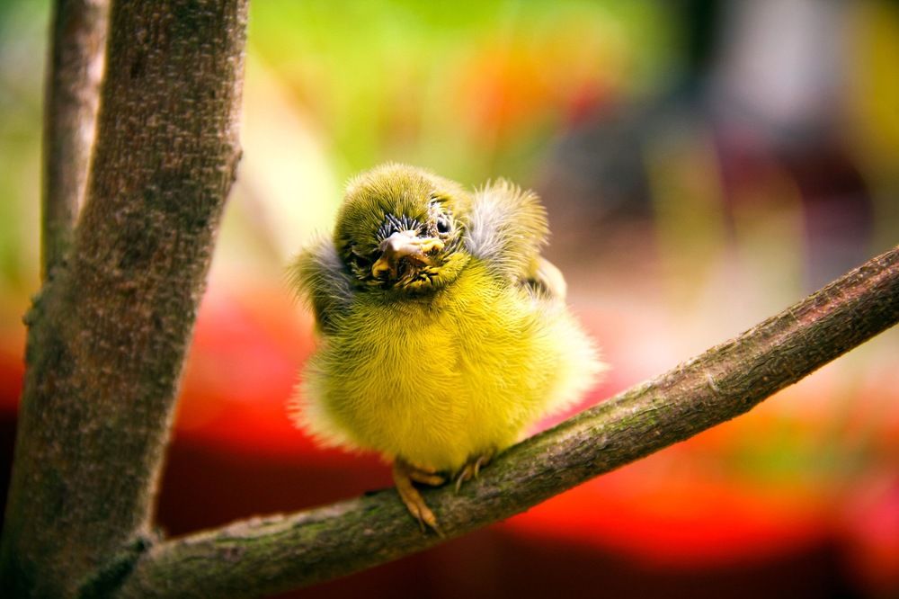 Photograph by Quốc Lương Kiến