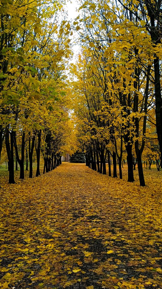 Photograph by Екатерина Попко
