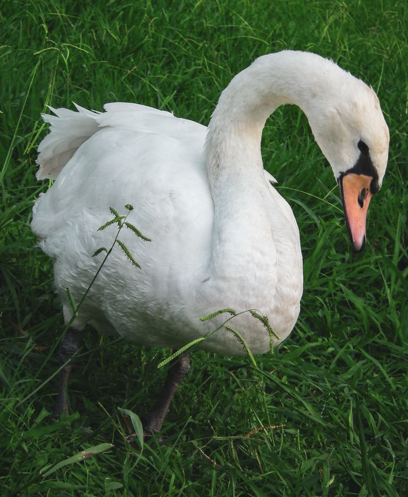 Фотография автора Valerya Vasileva