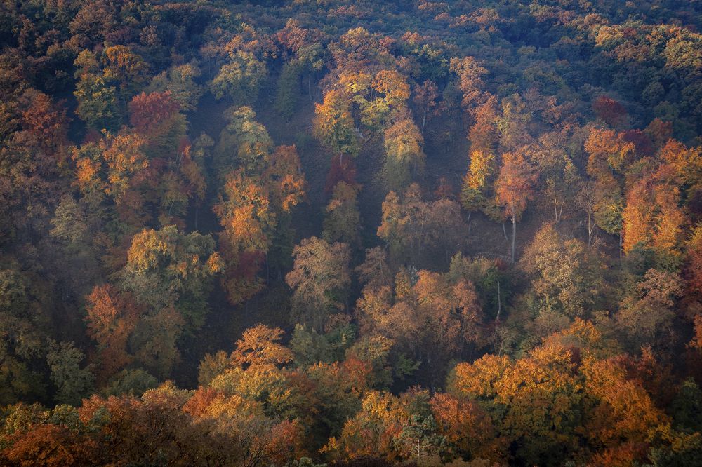Фотография автора Krisztián Zámbó