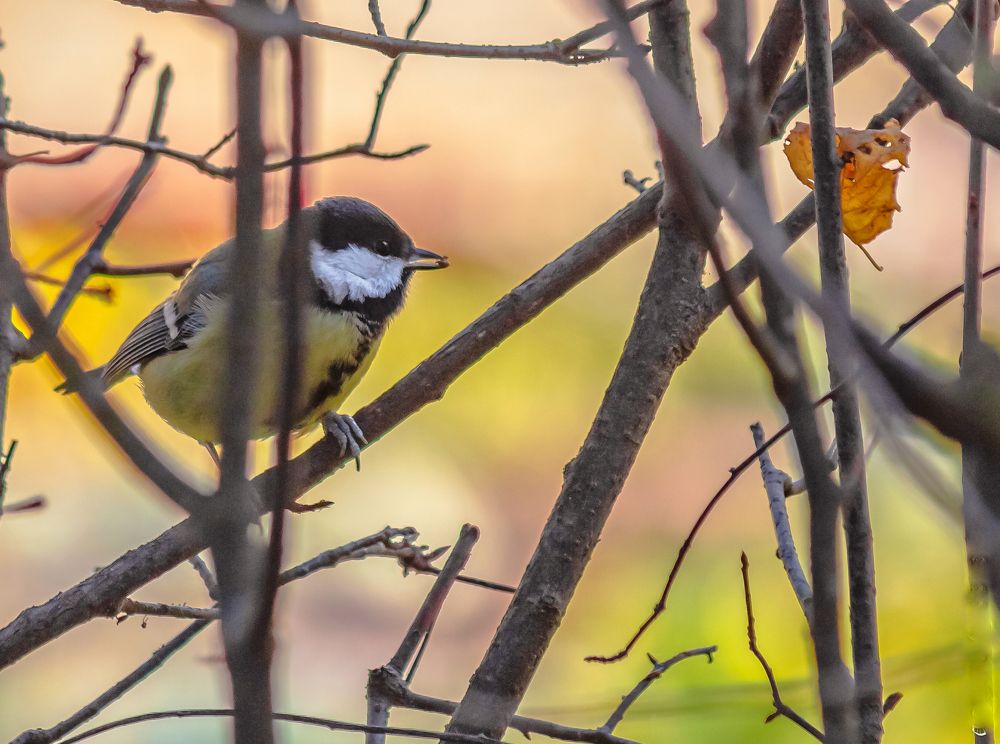 Photograph by Вадим Маслов