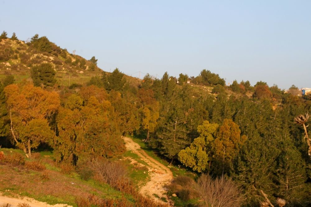 Photograph by Людмила Бутова