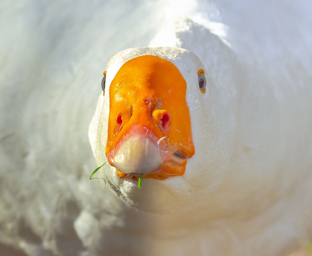 Photograph by Вадим Маслов