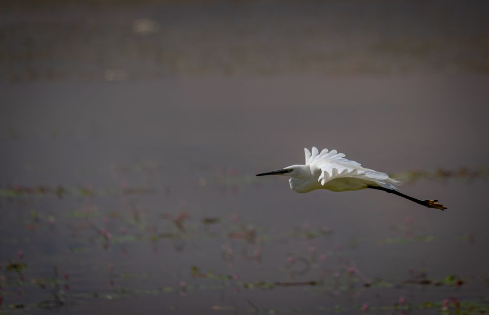 Photograph by Reza Nik