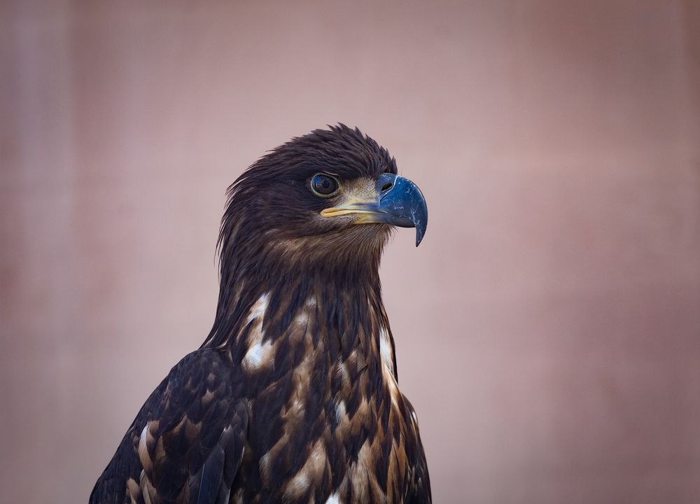 Photograph by Siarhei Saladukhin