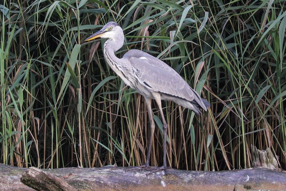 Photograph by Сергей Игнатьев