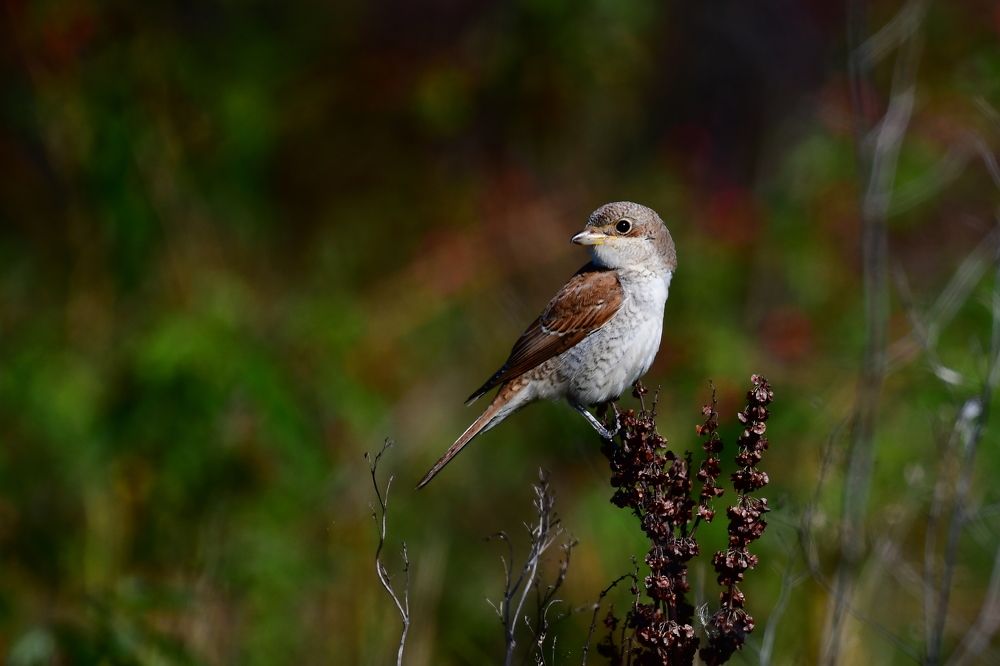 Photograph by Николай Абакумов