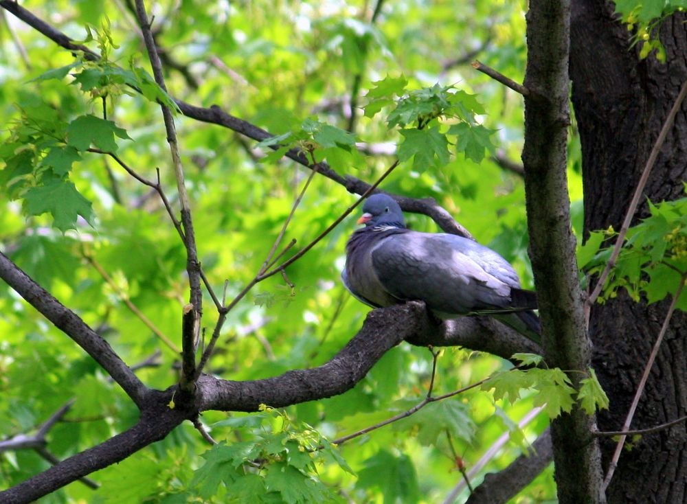 Photograph by Ольга Павлова