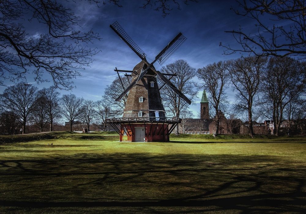 Photograph by Александр Белогаев