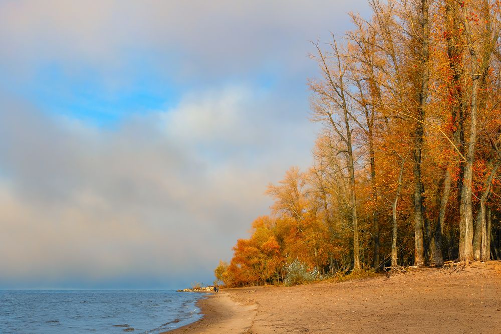 Утро на берегу