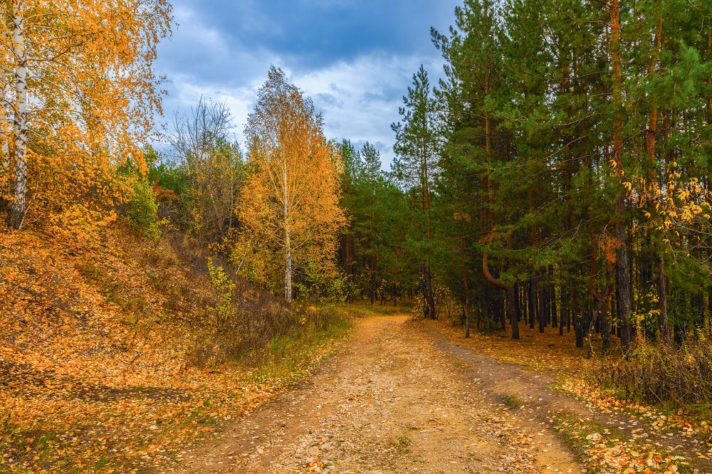 После дождя