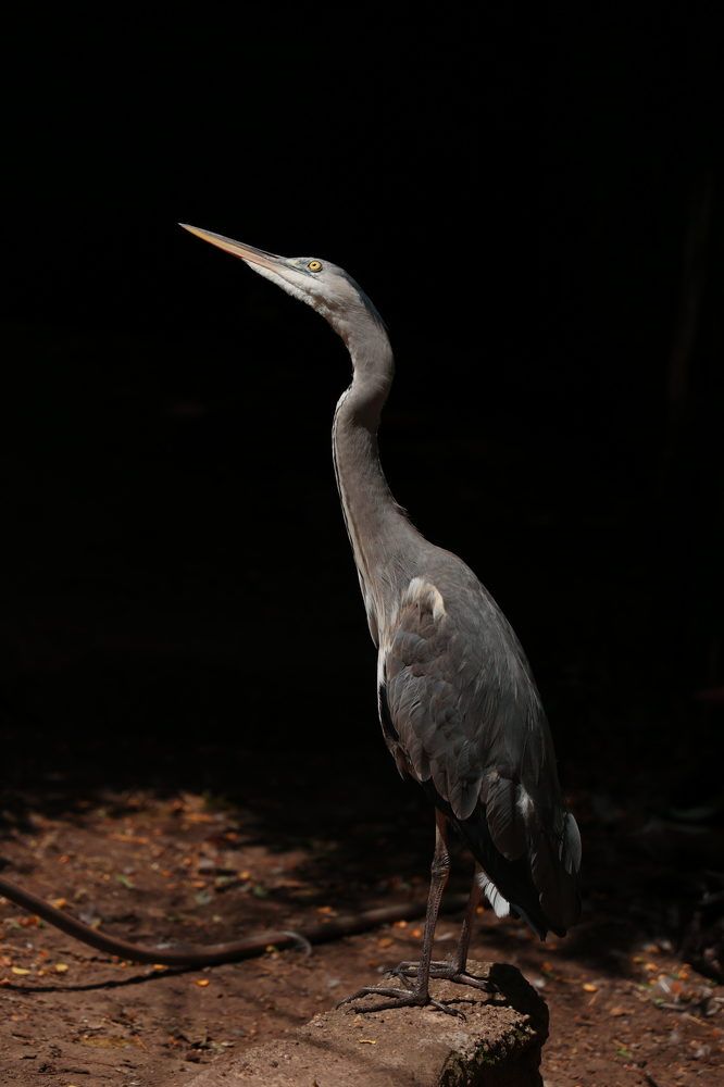 Photograph by Maxim Lip