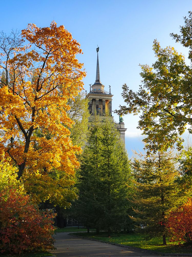 Фотография автора Павел Арсеев