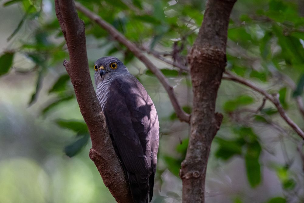 Photograph by Ismail Hassanaly