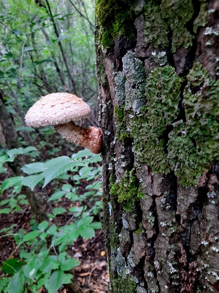 Photograph by Ольга Павлова