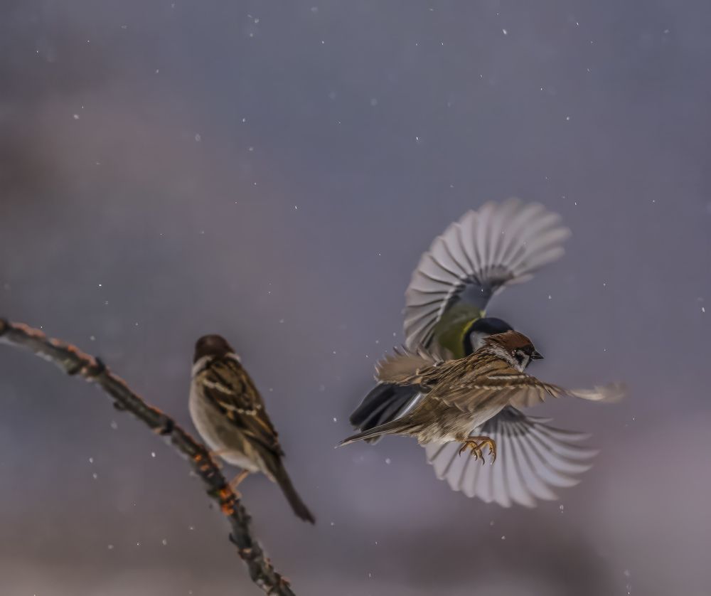 Photograph by АЛЕКСАНДР ПОПИК