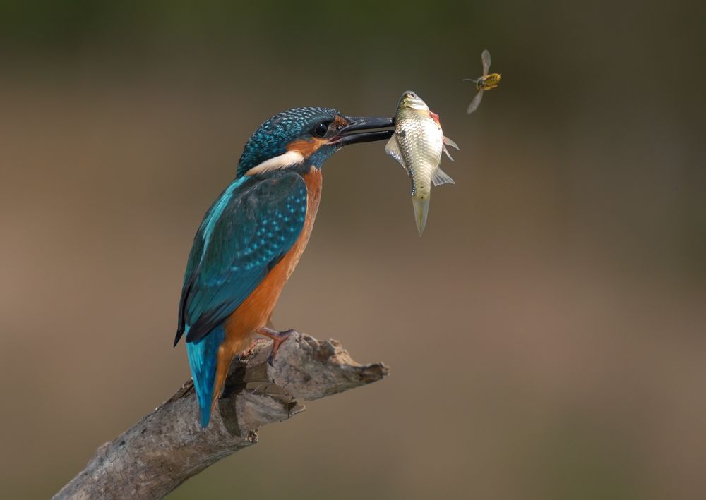 Photograph by Сергей Шкарупо