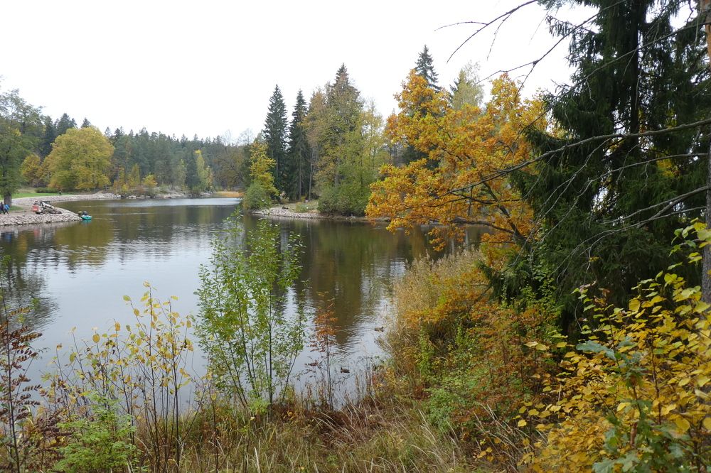 Photograph by Семкин Алексей