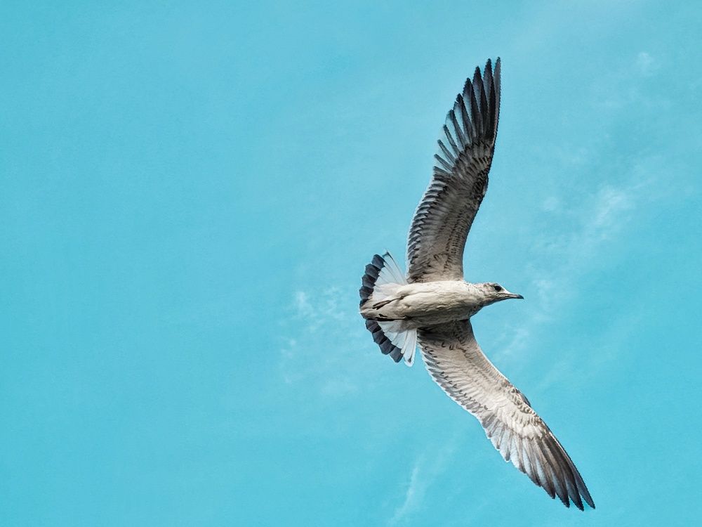 Photograph by Татьяна Соколовская